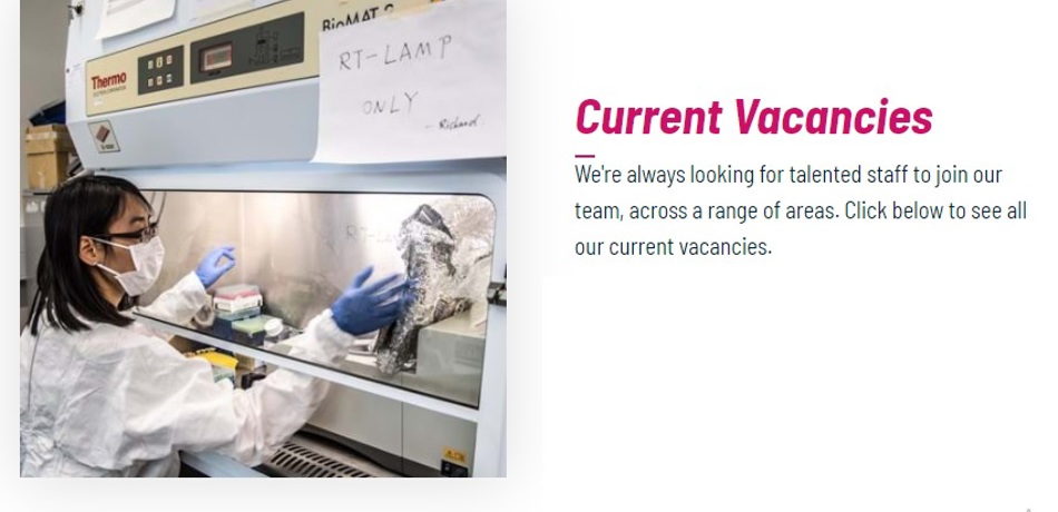 Department of Engineering Science vacancies page screenshot
